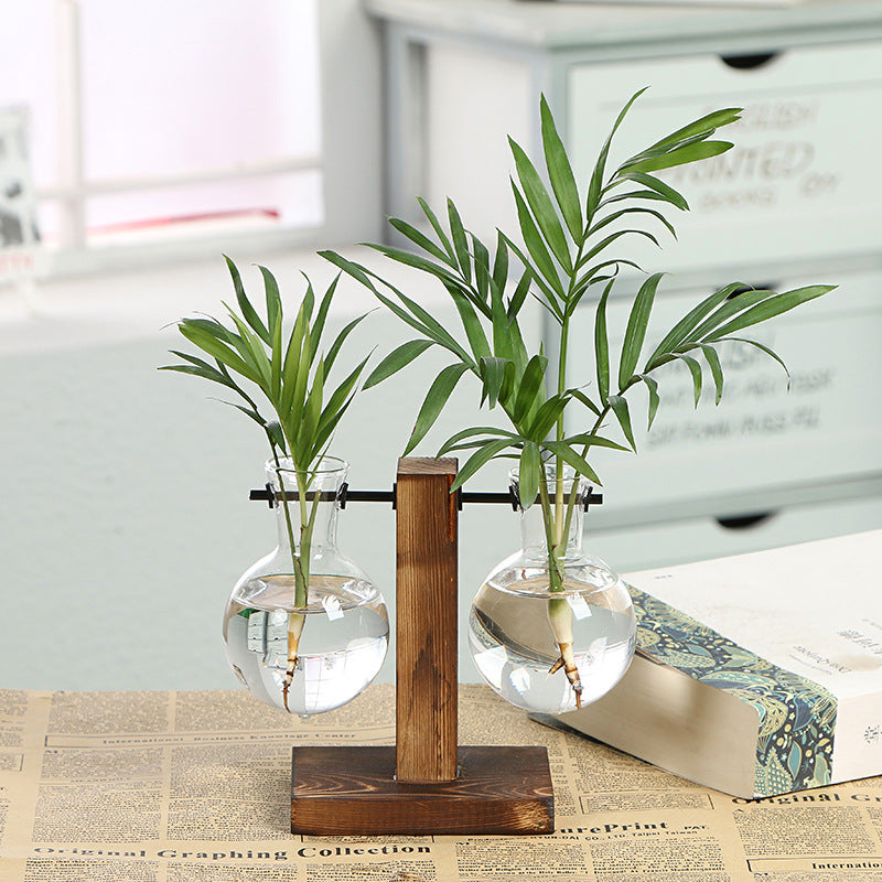 Hydroponic Glass Plant Vase